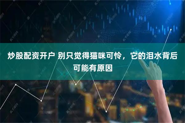 炒股配资开户 别只觉得猫咪可怜，它的泪水背后可能有原因
