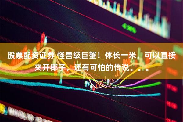 股票配资证券 怪兽级巨蟹！体长一米，可以直接夹开椰子，还有可怕的传说。。。